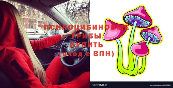 шишки Алексин
