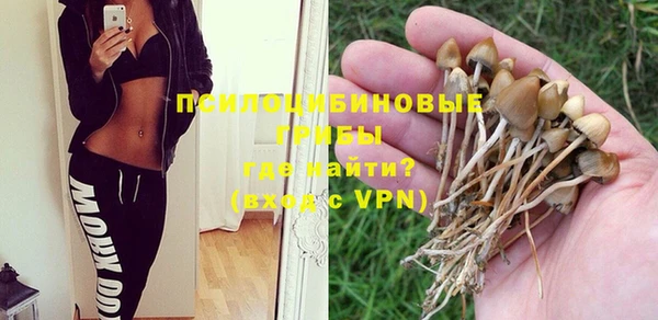 MESCALINE Алзамай