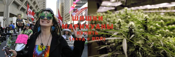 шишки Алексин