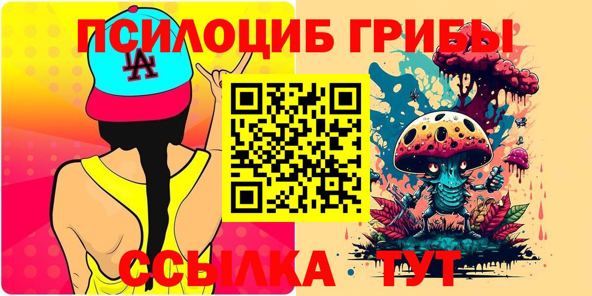 Сарапул  Псилоцибиновые грибы Psilocybine cubensis  Вход с VPN 